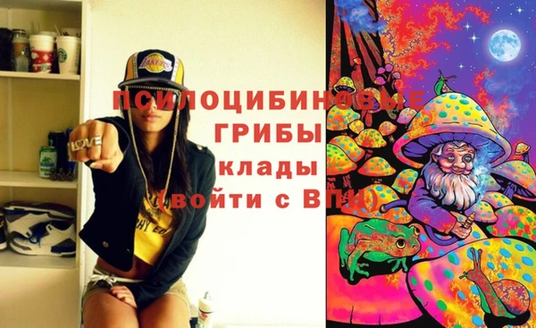 молекула духа Зерноград
