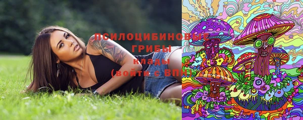 молекула духа Зерноград