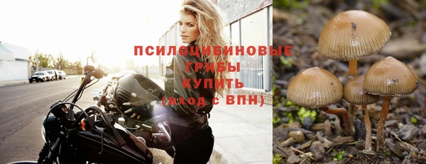 каннабис Зеленокумск