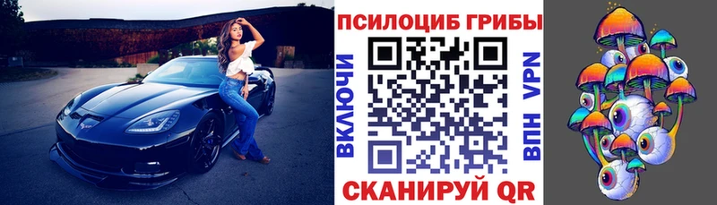 Псилоцибиновые грибы Psilocybe  даркнет официальный сайт  Уссурийск  закладка 