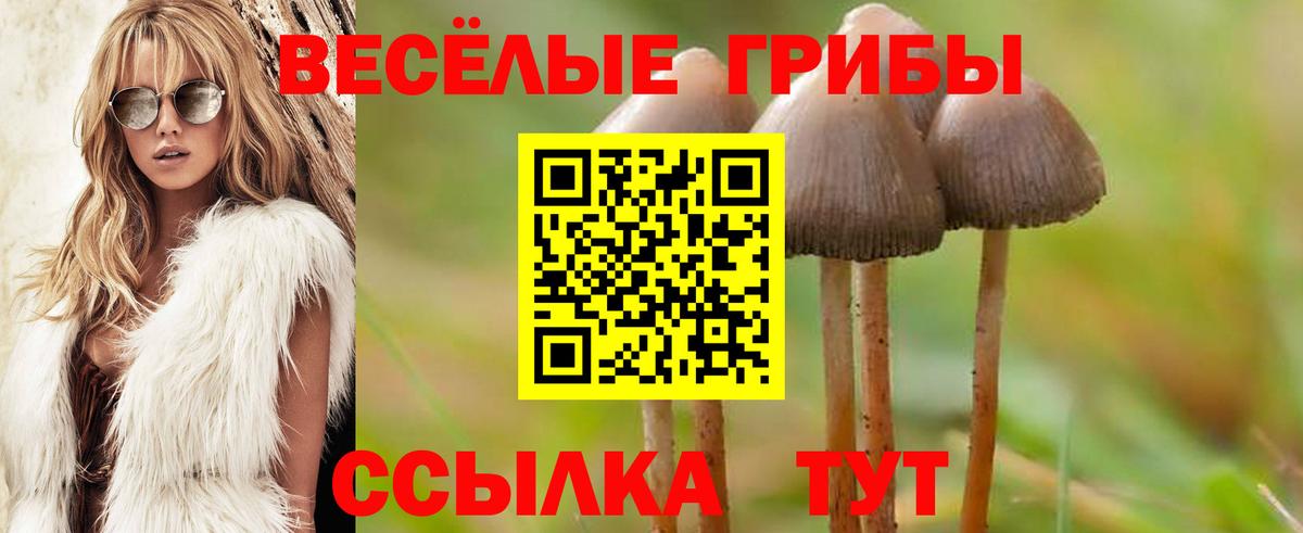 Псилоцибиновые грибы прущие грибы Уссурийск